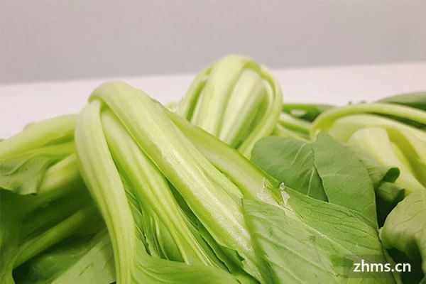 水煮青菜減肥