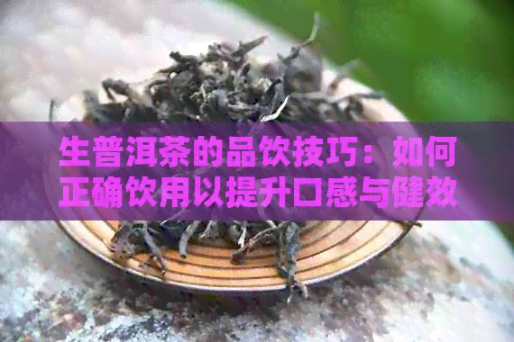 生普洱茶的品飲技巧：如何正確飲用以提升口感與健效益