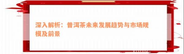 深入解析：普洱茶未來發(fā)展趨勢與市場規(guī)模及前景