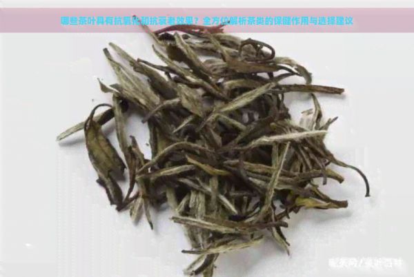 哪些茶葉具有抗氧化和抗衰老效果？全方位解析茶類的保健作用與選擇建議