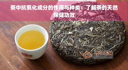 茶中抗氧化成分的作用与种类:了解茶的天然保健功效