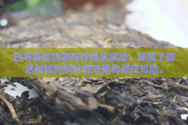 巴馬茶的功效與作用及禁忌：詳細(xì)了解這種獨(dú)特茶葉的效果和潛在風(fēng)險(xiǎn)。
