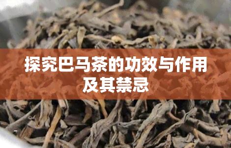 探究巴马茶的功效与作用及其禁忌