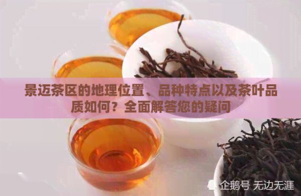 景邁茶區(qū)的地理位置、品種特點(diǎn)以及茶葉品質(zhì)如何？全面解答您的疑問