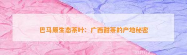 巴馬原生態(tài)茶葉：廣西甜茶的產(chǎn)地秘密