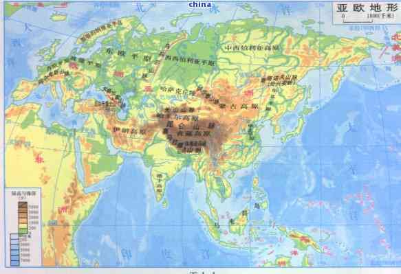 印度茶葉主要分布在哪些地區(qū)，揭秘印度茶葉分布：哪些地區(qū)是其主產(chǎn)區(qū)？