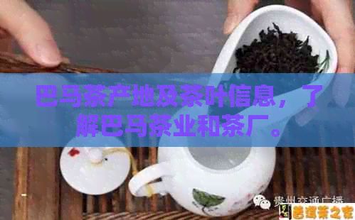 巴馬茶產地及茶葉信息，了解巴馬茶業(yè)和茶廠。