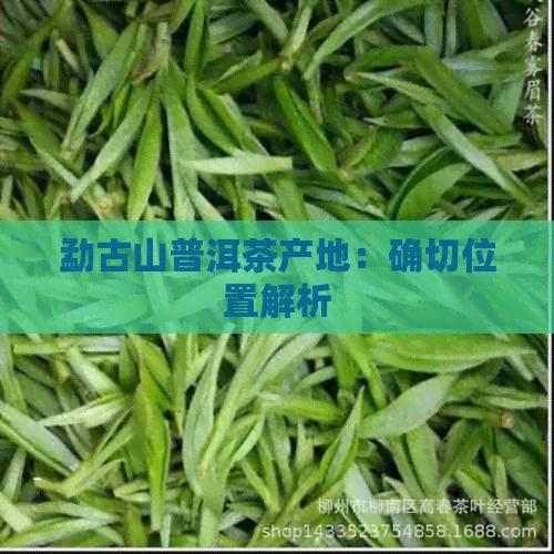 勐古山普洱茶产地：确切位置解析