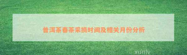普洱茶春茶采摘時間及相關月份分析
