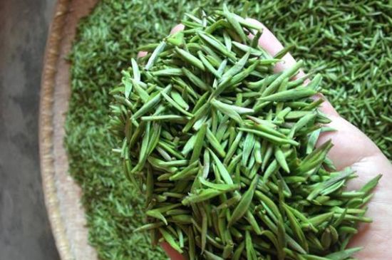 采茶的方法与步骤，如何正确采摘茶叶？
