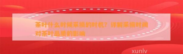 茶葉什么時候采摘的時機(jī)？詳解采摘時間對茶葉品質(zhì)的影響