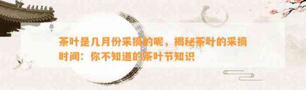茶葉是幾月份采摘的呢，揭秘茶葉的采摘時間：你不知道的茶葉節(jié)知識