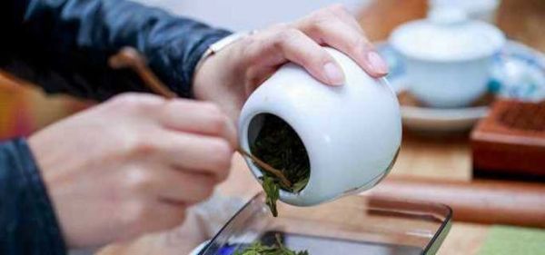 安吉白茶的保質(zhì)期限 安吉白茶存放方法
