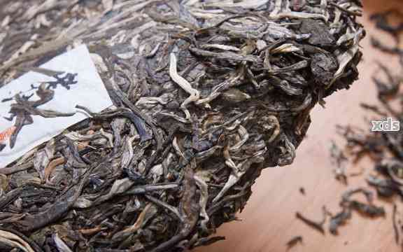 吉普號普洱茶生茶保質(zhì)期