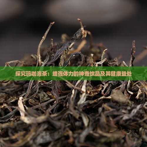 探究瑪咖泡茶：增強體力的神奇飲品及其健康益處
