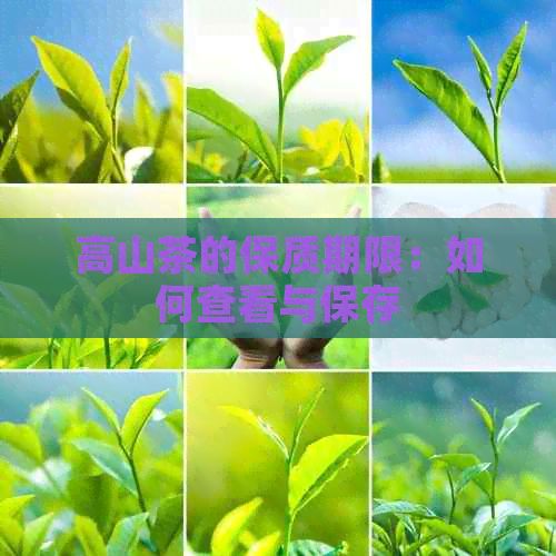 高山茶的保質(zhì)期限：如何查看與保存
