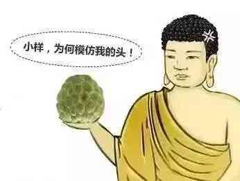 釋迦果和釋迦牟尼：探討其名稱與佛教之間的關(guān)系及頭部象征意義