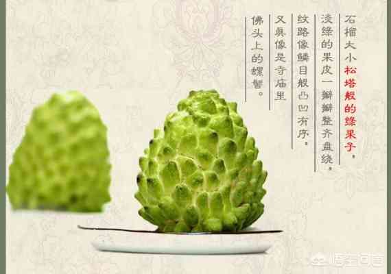 釋迦果和釋迦牟尼：探討其名稱與佛教之間的關(guān)系及頭部象征意義