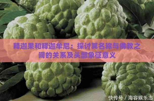 釋迦果和釋迦牟尼：探討其名稱與佛教之間的關(guān)系及頭部象征意義