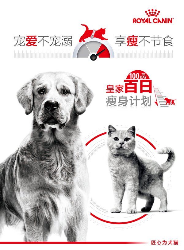 皇家寵物食品發(fā)起全國首個“百日瘦身計劃”