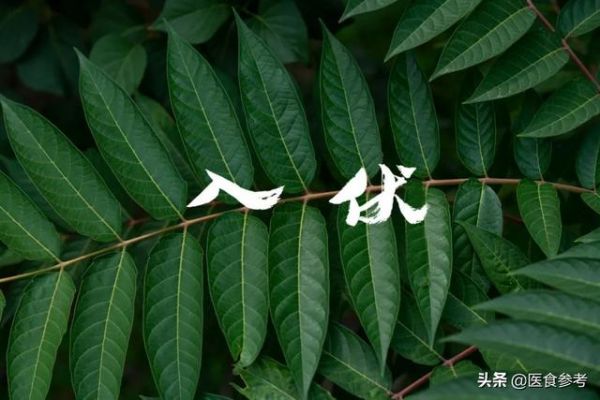入伏了，三伏养生有“三宝”！健康过夏天，为家人收好～
