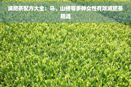 減肥茶配方大全：烏、山楂等多種女性有效減肥茶精選
