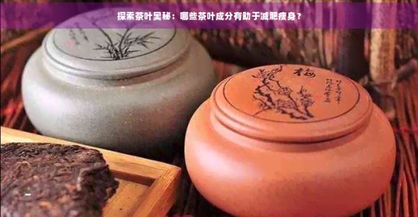 探索茶葉奧秘：哪些茶葉成分有助于減肥瘦身？