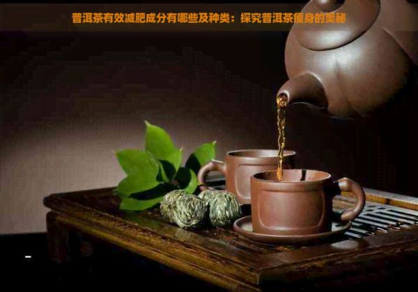 普洱茶有效減肥成分有哪些及種類：探究普洱茶瘦身的奧秘