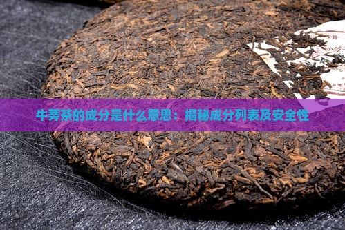牛蒡茶的成分是什么意思：揭秘成分列表及安全性