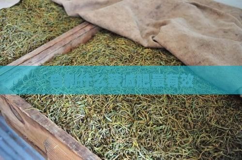 自制什么茶減肥最有效
