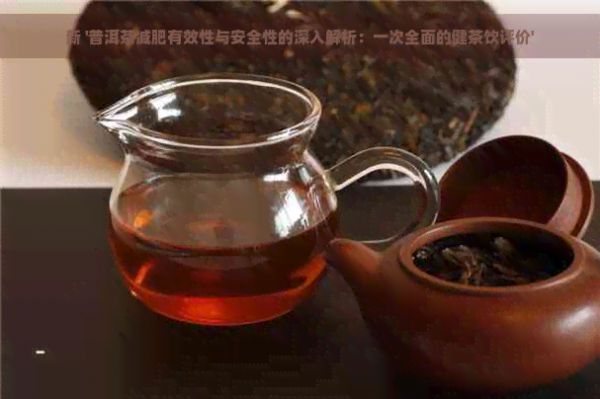 新 '普洱茶減肥有效性與安全性的深入解析：一次全面的健茶飲評價(jià)'
