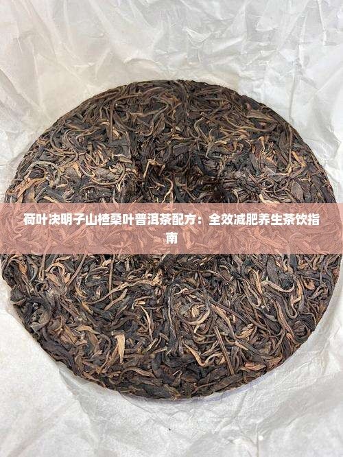 荷葉決明子山楂桑葉普洱茶配方：全效減肥養(yǎng)生茶飲指南