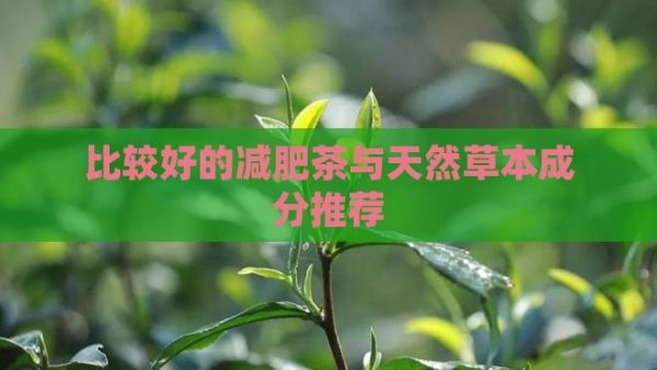 比較好的減肥茶與天然草本成分推薦