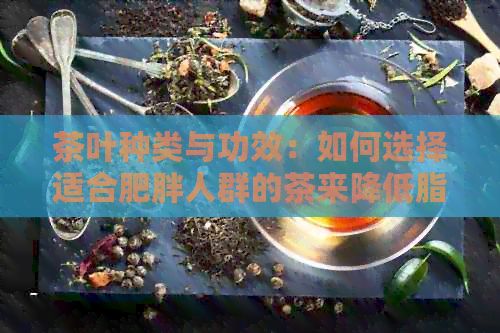 茶叶种类与功效:如何选择适合肥胖人群的茶来降低脂肪?