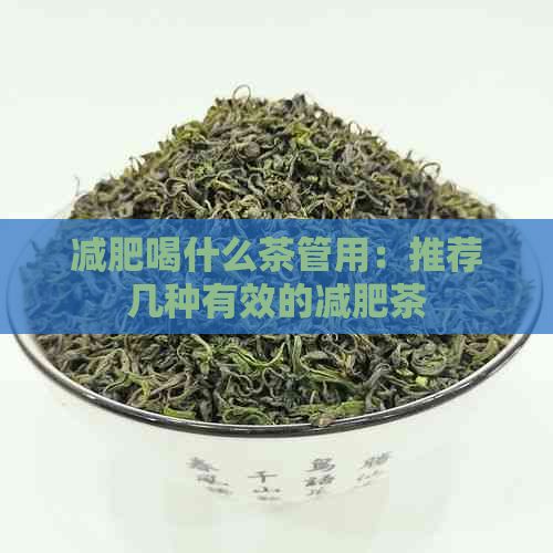 減肥喝什么茶管用：推薦幾種有效的減肥茶