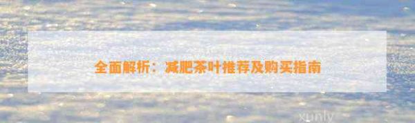 全面解析：减肥茶叶推荐及购买指南