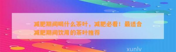 減肥期間喝什么茶葉，減肥必看！最適合減肥期間飲用的茶葉推薦