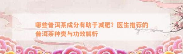 哪些普洱茶成分有助于減肥？醫(yī)生推薦的普洱茶種類(lèi)與功效解析