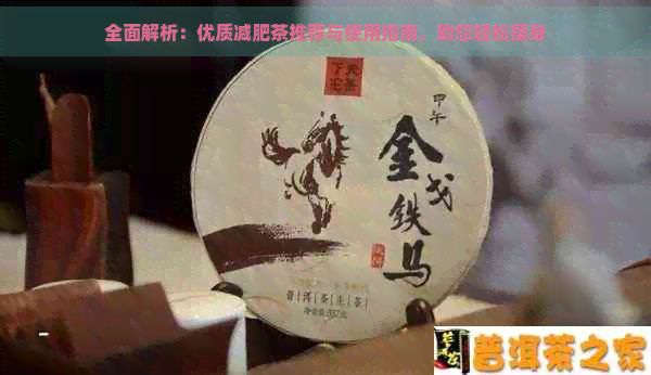 全面解析:優(yōu)質減肥茶推薦與使用指南,助您輕松瘦身