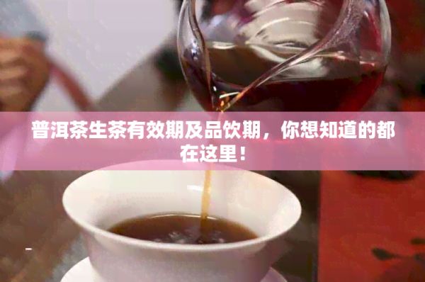 普洱茶生茶有效期及品飲期，你想知道的都在這里！