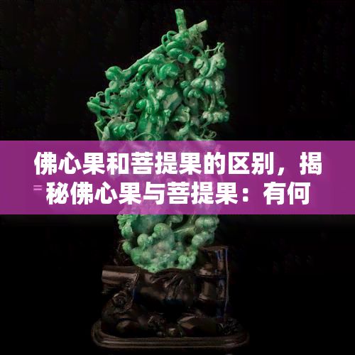 佛心果和菩提果的區(qū)別，揭秘佛心果與菩提果：有何不同之處？