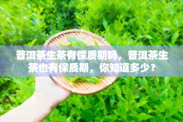 普洱茶生茶有保质期吗，普洱茶生茶也有保质期，你知道多少？
