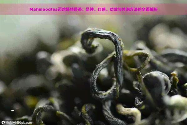 Mahmoodtea邁哈姆特爵茶：品種、口感、功效與沖泡方法的全面解析