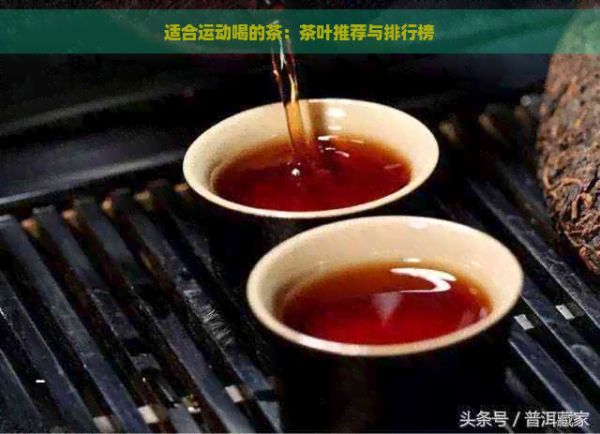 適合運動喝的茶：茶葉推薦與排行榜