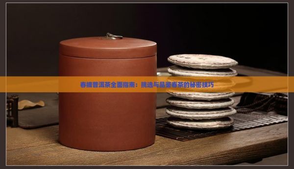 春摘普洱茶全面指南：挑选与品鉴春茶的秘密技巧