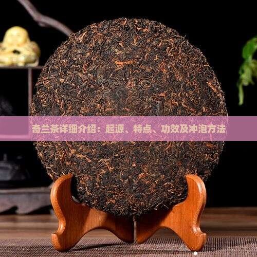 奇蘭茶詳細介紹：起源、特點、功效及沖泡方法