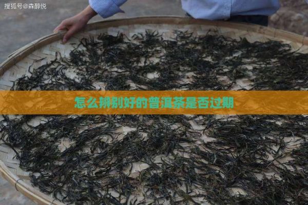 怎么辨别好的普洱茶是否过期