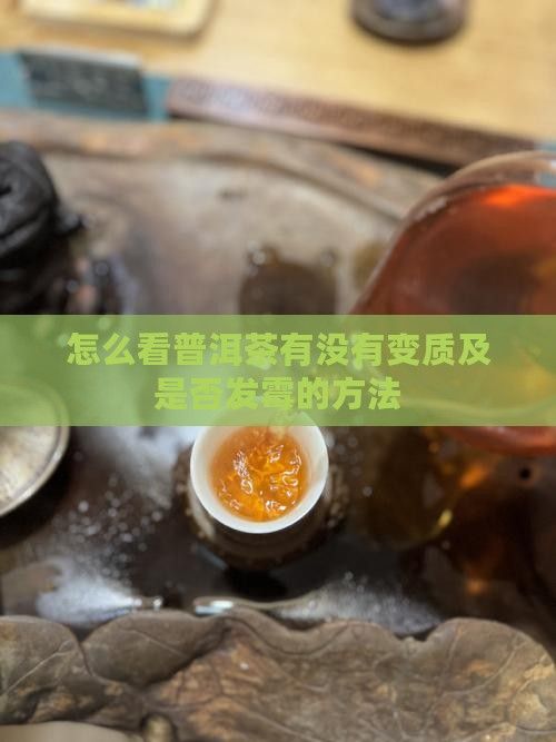 怎么看普洱茶有没有变质及是否发霉的方法