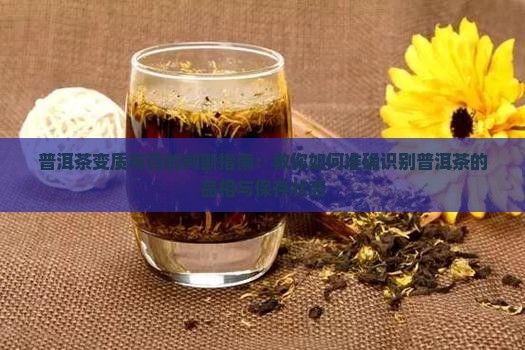 普洱茶变质与否的判断指南：教你如何准确识别普洱茶的品相与保存状态
