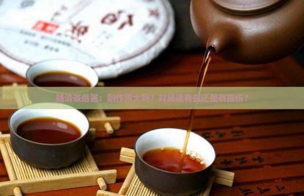 腸清茶危害：副作用大嗎？對腸道有益還是有損傷？